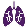 Respiratory and Immunology